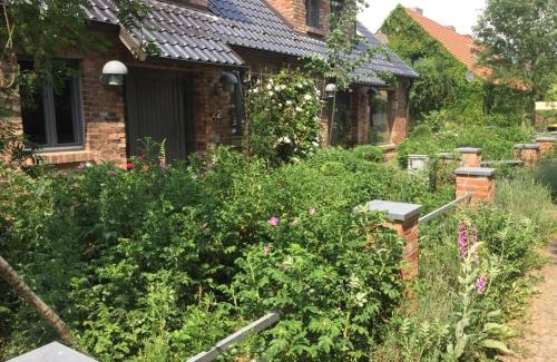 Angermuende Wohnung | Große Wohnung/Haushälfte in Peetzig am See