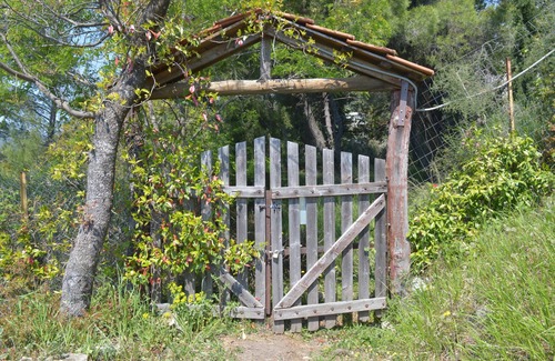 Milies Hütte | Grove Cottage Pelion