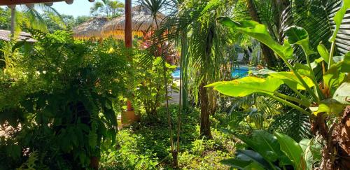 Junquillal Kabine | Guacamaya Lodge
