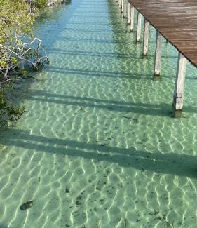 Mario Villanueva Madrid Wohnung | Guarumbo, la mejor ubicación