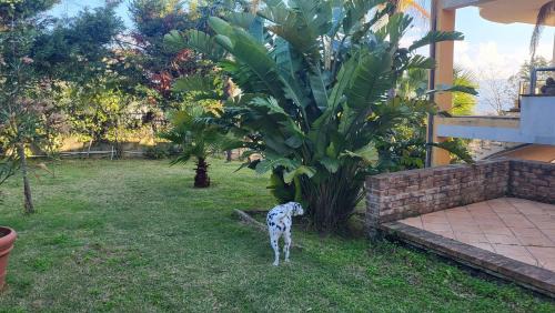 Miglierina Haus | Guest House Franco