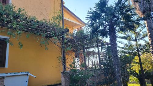 Miglierina Haus | Guest House Franco