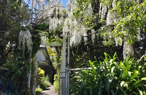 Havelock North Hütte | Guthrie Cottage Im Dorf Havelock North