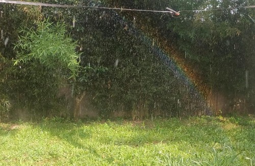 Capital Department Haus | Corrientes Habitación con baño para 4 a 10 min de RN12
