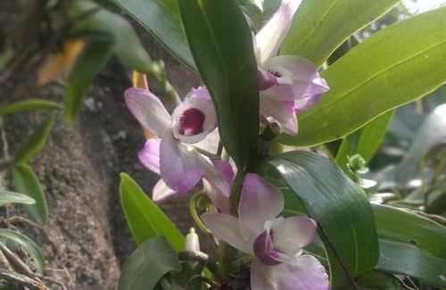 Capital Department Haus | Corrientes Habitación con baño para 4 a 10 min de RN12