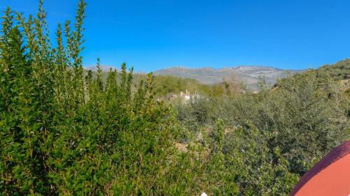 Priego de Cordoba Haus | Hacienda la Toscana Priego de Córdoba by Ruralidays