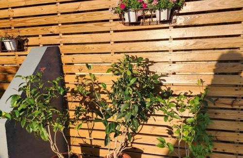 Puli Haus | Hajin Homestay