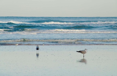 Daytona Beach Shores Hotel | Hampton Inn Daytona Shores-Oceanfront