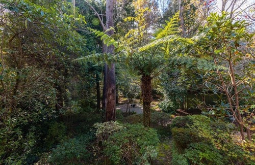 Leura Hütte | Hamptons style "Mountain Grove" 3 bedroom Cottage