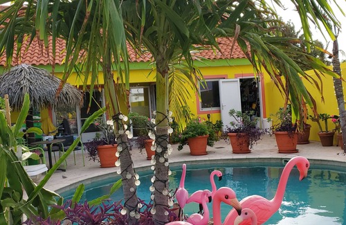 Punto de Oro Resort | Happy Days,Unterkunft, Aruba, Apartment,gemütlicheFamilien undHaustierfreundlich