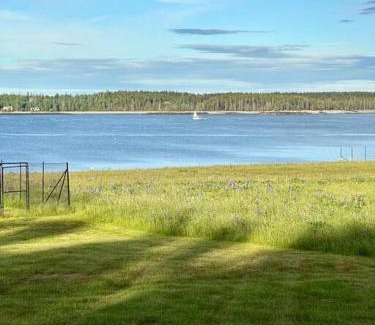 Seawall Haus | Hard Aground - Ocean View - Pet Friendly! SWH