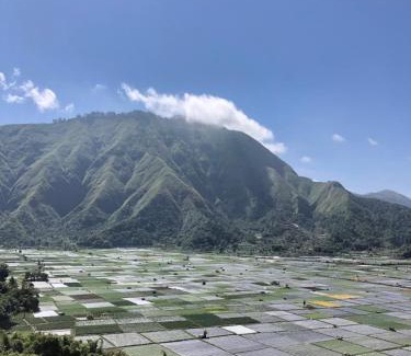 Bayan Kabine | Haris Homestay & Cottages