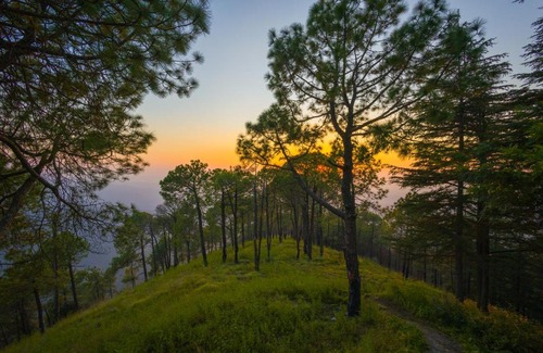 Shimla Haus | Hemkunj Fern by ELIVAAS