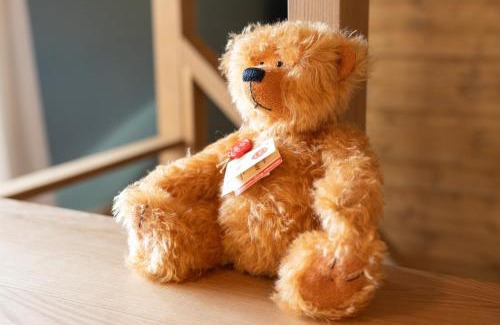 Kitasaku-gun Haus | HERMANN Teddy Collectors' House - Vacation STAY 28453v