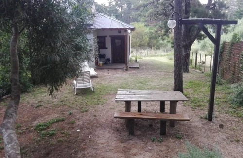 Mar Azul Kabine | Hermosa Cabaña en bosque de Mar Azul 4/5 personas