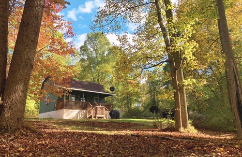 Kimbolton Kabine | Hidden Cabin with covered porch & fire pit! Minutes to Salt Fork.