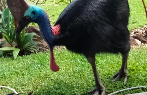 South Mission Wohnung | Hidden Gem Holiday Let