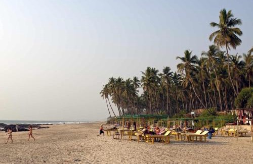 Ashvem Wohnung | Hidden Haven, Eden in India ! Quietest stay in Goa