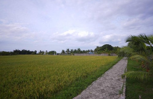 Ponneri Wohnung | HIDE OUT at Medur, Pulicat Highway