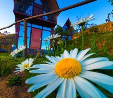Vilpatti Haus | Hie Moksha Glamping