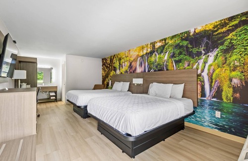 Alachua Hotel | High Springs Inn