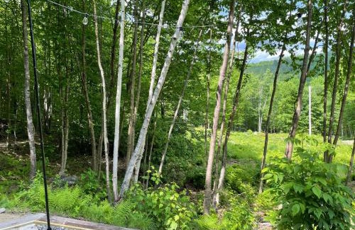 Phillips Haus | Hillside HideAway