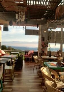 Dharamshala Haus | Himalayan Musaafir Guest House & Restaurant