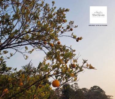 Sidhpur Haus | HIMVIGRAHA- Your Mountain Retreat