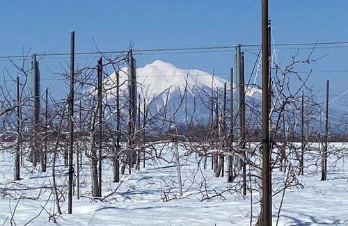 Hirosaki Haus | HIROSAKI清水森はうす