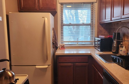 Ann Arbor Eigentumswohnung | Historic 2-bedroom home, in delightful eastside Ann Arbor, walkable and quiet.