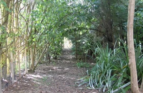 Otaki Hütte | Historischen Backsteinställe