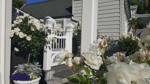 Napier Villa | Historic Colenso Cottage