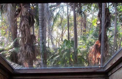 Emerald Beach Haus | Historisches Heiligtum der Lake Russell Gallery - Emerald Beach