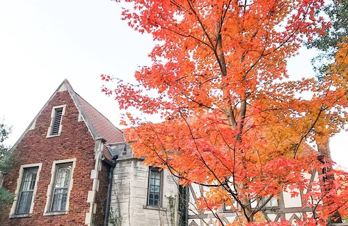 Central Gardens Haus | Historic Midtown Chateau + Guest House - Minutes from Everything