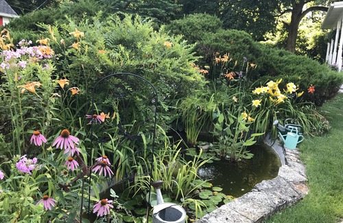 South Bend Hütte | Historisches Anwesen ist ein komfortabler friedlicher Ort zum Verweilen.