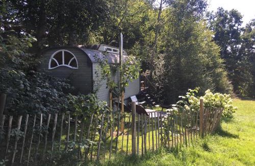 Fischach Sonstige | historischer Zirkuswagen inmitten der Natur