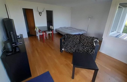 Aeschi bei Spiez Wohnung | Holiday apartment Aeschiried for 2 persons - Holiday apartment