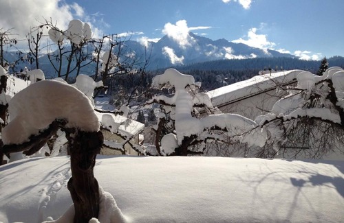 Flims Wohnung | Ferienwohnung Flims Dorf für 1 - 4 Personen mit 2 Schlafzimmern - Ferienwohnung