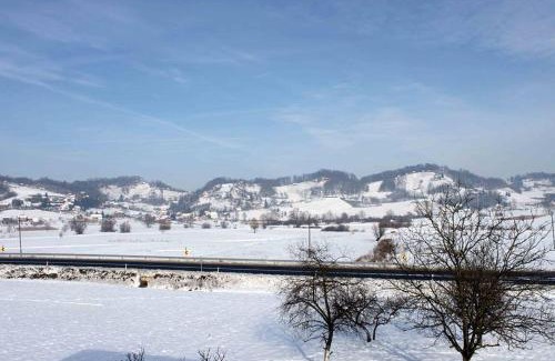 Veliko Trgovisce Haus | Holiday home Ema