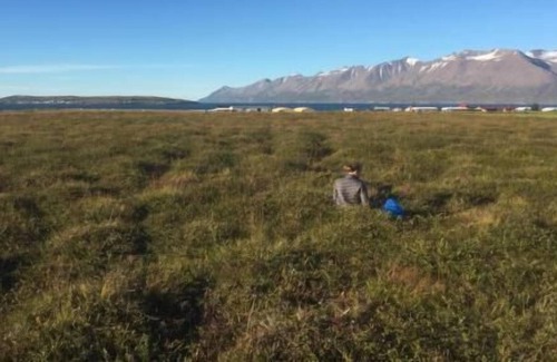 Hauganes Haus | Holiday house Hrísey for 1 - 4 persons with 2 bedrooms - Holiday home