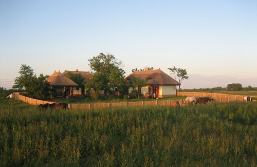 Orgovany Haus | Holiday house with pool for riders, dogs, nature lovers 80 km south of Budapest