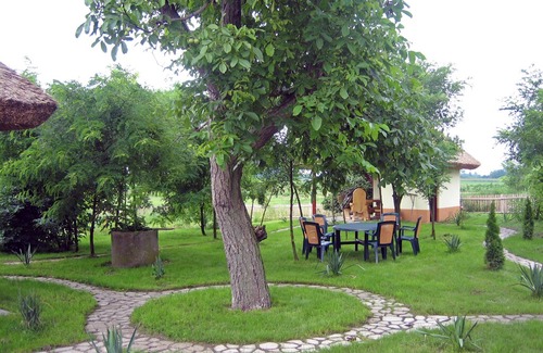 Orgovany Haus | Holiday house with pool for riders, dogs, nature lovers 80 km south of Budapest