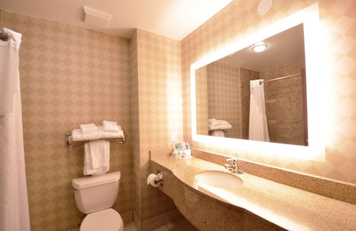 Oregon Hotel | Holiday Inn Express Toledo-Oregon by IHG