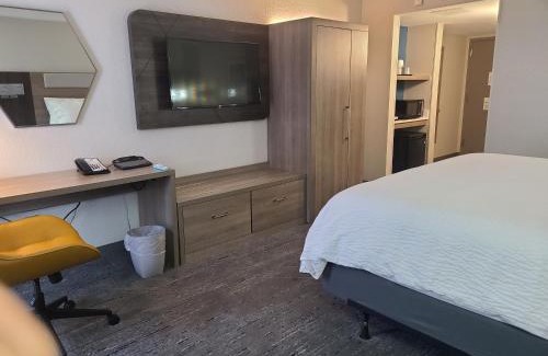 Survey Creek Hotel | Holiday Inn Express Fort Lauderdale North - Executive Airport by IHG