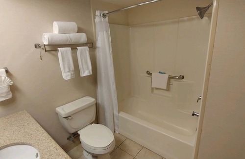 Central Scottsdale Hotel | Holiday Inn Express Scottsdale North by IHG