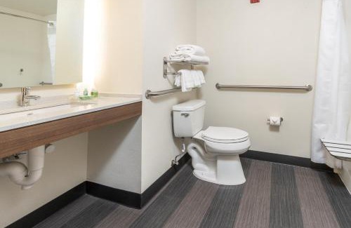 Ellendale Hotel | Holiday Inn Hotel & Suites Memphis-Wolfchase Galleria by IHG