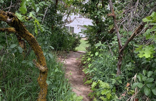 Ogden Haus | Weber State Univ, McKay Dee Hospital, Historischer 25., Ogden Regional