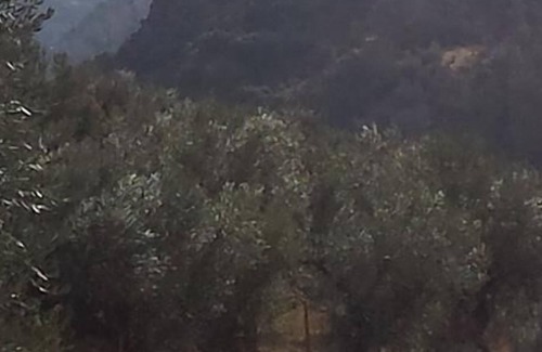 Guejar Sierra Haus | Zuhause Epochen (die sonnigen Bauernhaus) mit Kamin Stadtzentrum