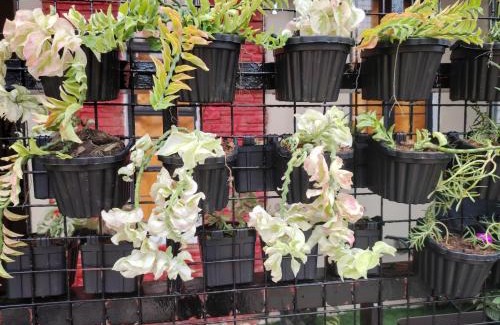 Pagadian Wohnung | Home in Pagadian City near airport