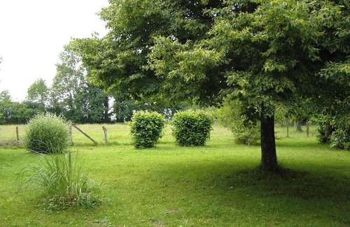 Plumont Wohnung | Homerez - Charmantes Studio in Plumont mit privatem Garten - 50 m²